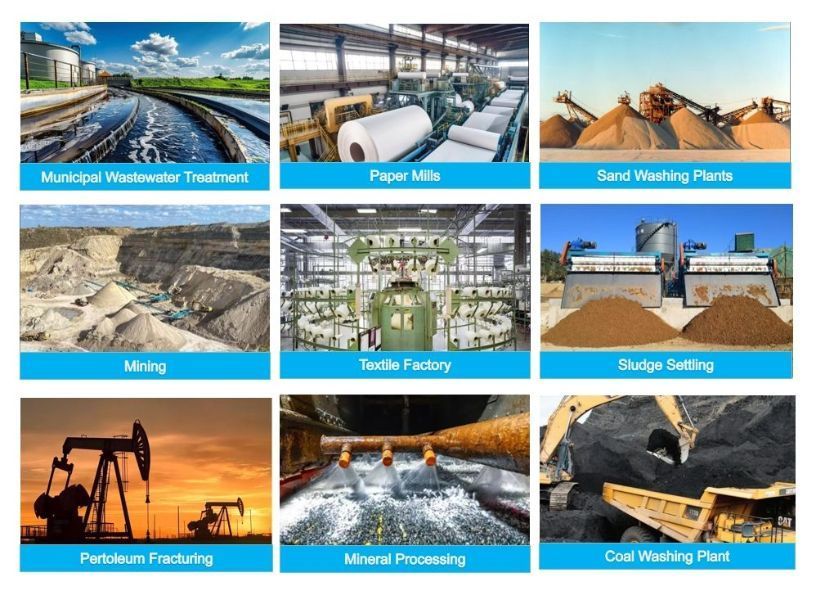 Factory Price Polyacrylamide Agent PAM Papermaking Dispersant Paper Retention Aid