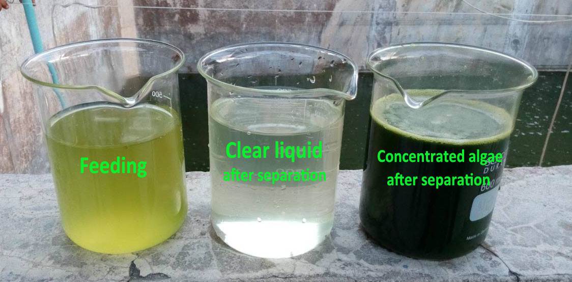High Efficiency Disc Stack Centrifuges , Automatic Algae Dewatering Separator