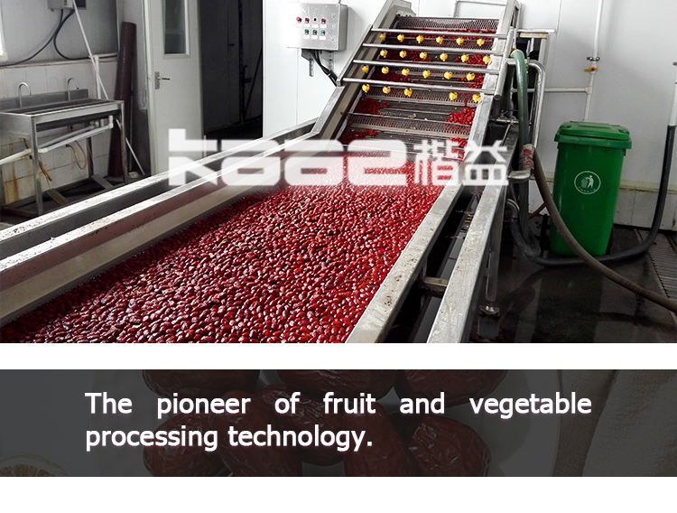 Fully automatic Dates Processing Machine CE jujube deep processing production line