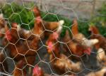 Oxidation Resistant 25m Hexagonal Wire Netting For Chicken