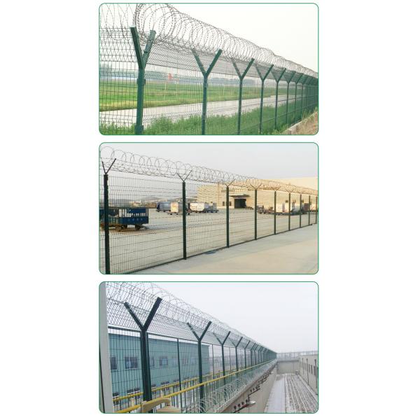 Powder Coated Galvanized Safety Barbed Wire Fencing for Long-Lasting Performance