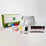 Fumonisin B1 Mycotoxin Testing Kits For Feed Peanut Maize 96 Wells/Kit Green