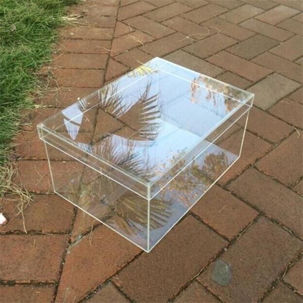 Quality Custom clear acrylic shoe box with lid plexiglass shoe box for sale
