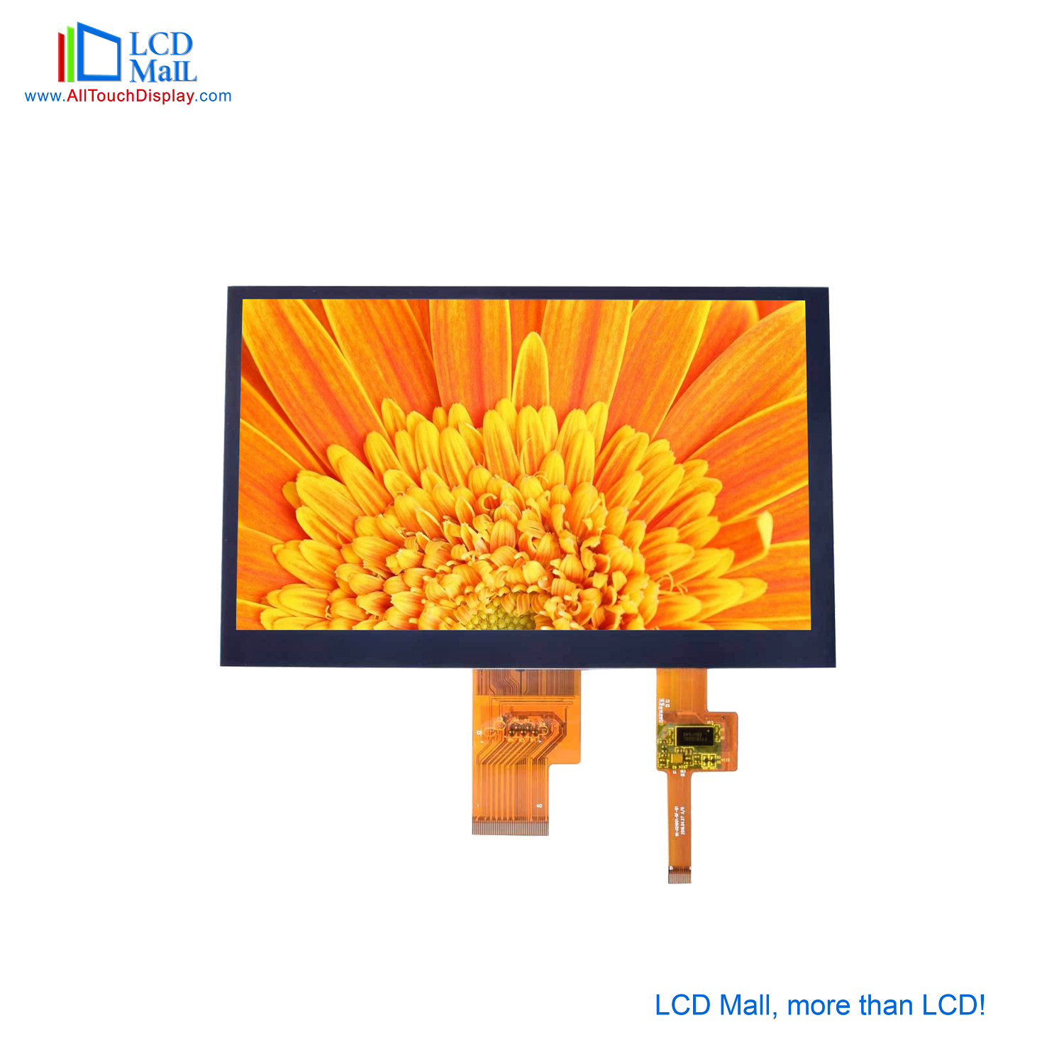 RGB Vertical Stripe ST7789V 2.4 Inch TFT LCD Display Screen ODM OEM