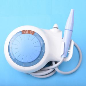 3w - 20w Ultrasonic Dental Scaler With Automatic Frequency Tracking Function