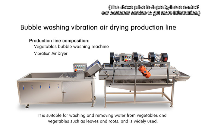 Bubble washing vibration air drying production line Orange Vegetable Herbs Fruit processing production Machine