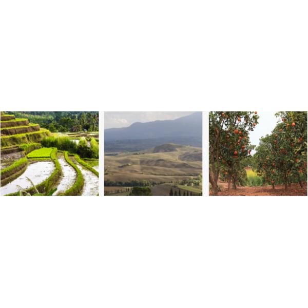 Diesel Engine Mini Power Gear Tiller GT1000D 750 - 1000mm