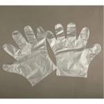 PE Polyethylene Hand Glove Making Machine with PLC Control#polythene carry bag