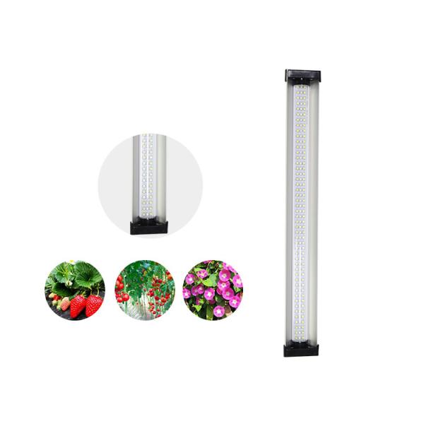 Quality 135lm/W Horticulture Led Grow Lights for sale