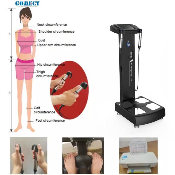 Quality 3D Measure BMI Scale Machine , Body Composition Analyzer Machine for sale