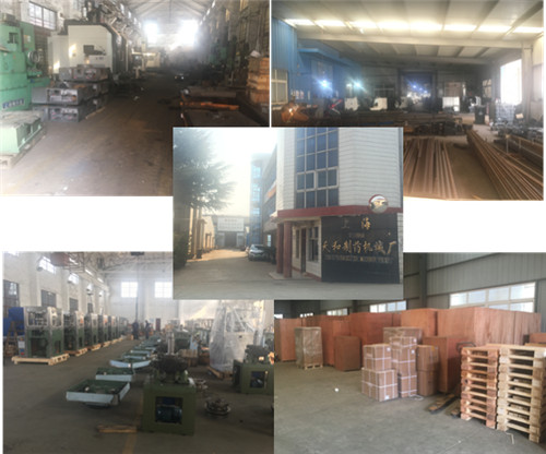 Punches & Tablet Press Tooling Round Shape For Pharmacy / Candy