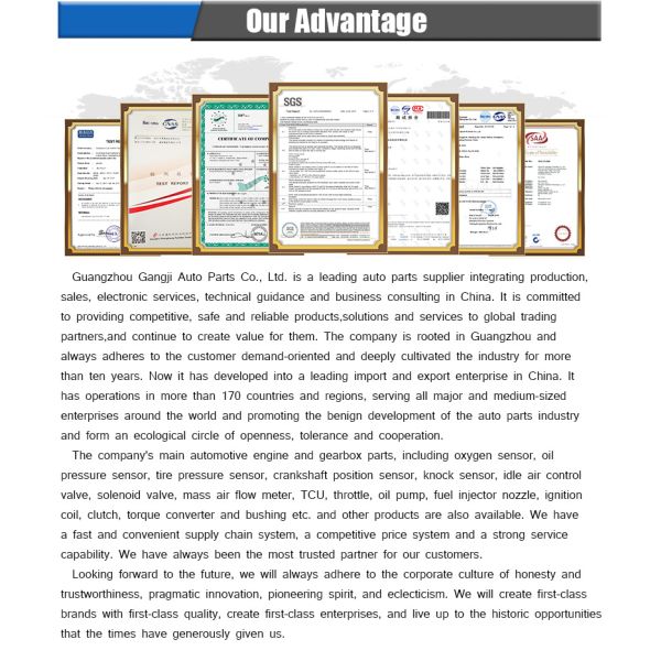 High Performance OEM 0AM325066 for VW Valve Body Accumulate Housing DSG DQ200