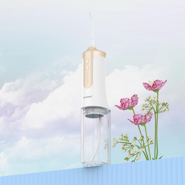 Electric Jet Cordless Portable Water Flosser Oral Irrigator IPX7 300ml