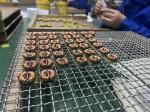 Custom design inductor inductance/toroidal core 12mH inductor