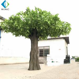Buy cheap Large Artificial Mango Tree , Artificial Palm Plants Customized Design product