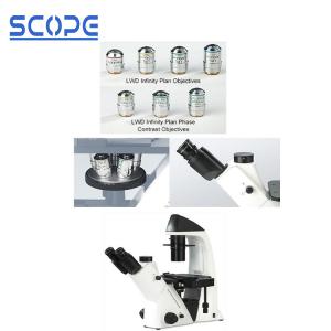 Buy cheap Live Cell Inverted Biological Microscope , Inverted Compound Microscope product