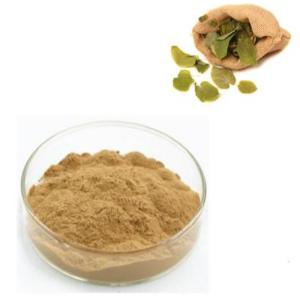 China Feed Grade Icariin Epimedium PE Plant Extracted Powder For Animal Healthy on sale