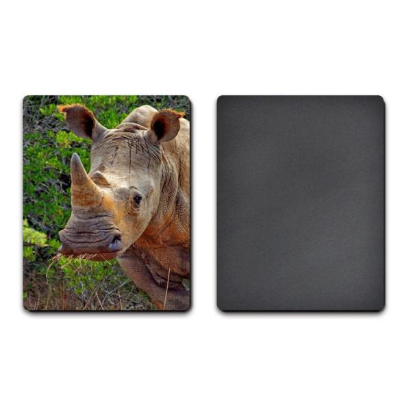 Quality PET / PP Lenticular 3D Coolest Fridge Magnets Heidelberg Machine Printing for sale