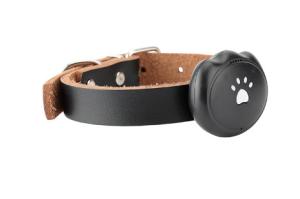China 2G SIM Waterproof GPS Tracking Collar Android IOS Compatible For Pet Dog / Cat on sale