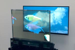 China High Brightness OLED Transparent Display , Full Color Clear OLED Screen Multipurpose on sale