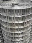 Galvanized welded net fence breeding rat proof net corn net in Anping factory