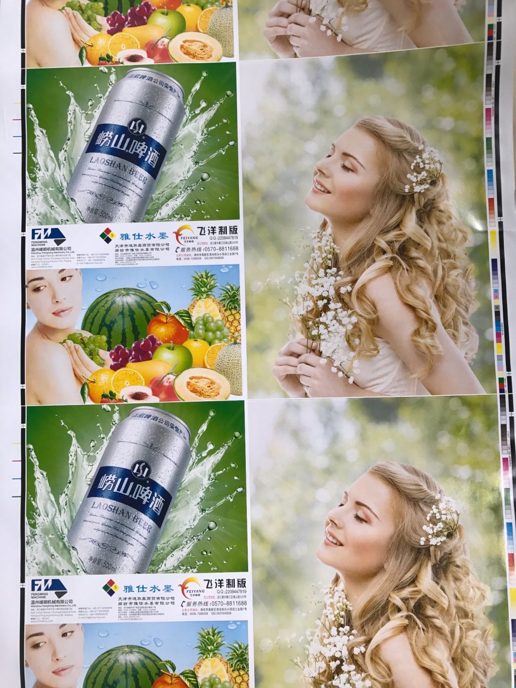 &lt;Fengming&gt; Flexo Printing Machine