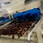 Smart and Capacity Sorting Machine for Perfect Dates Every Time Powered by