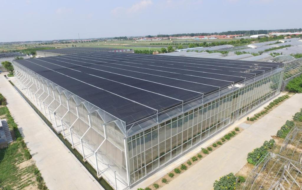 Shipping Container Leafy Vegetable Greenhouse