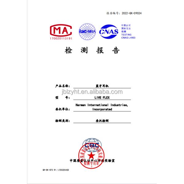 Charge 5 Original Outdoor Portable Wireless Speaker With IP67 Waterproof