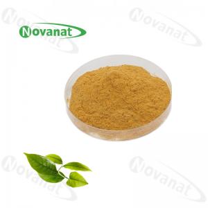 China 98% Tea Polyphenols Green Tea Extract Powder 50% EGCG Decaffeinated on sale