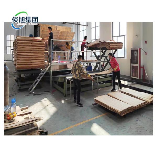 Quality 22.0 kW Power Sheet Metal Drying Equipment for Multi-layer Drying of Veneer Wood for sale