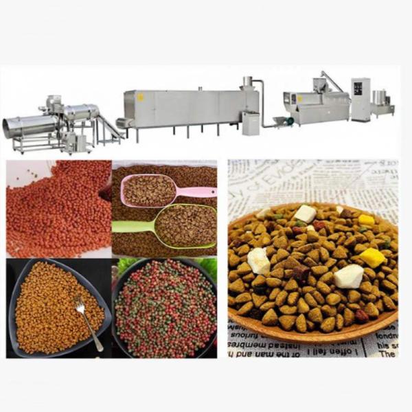 Fully Automatic Floating Feed Extruder Machine Floating Fish Feed Production Line 5.5KW