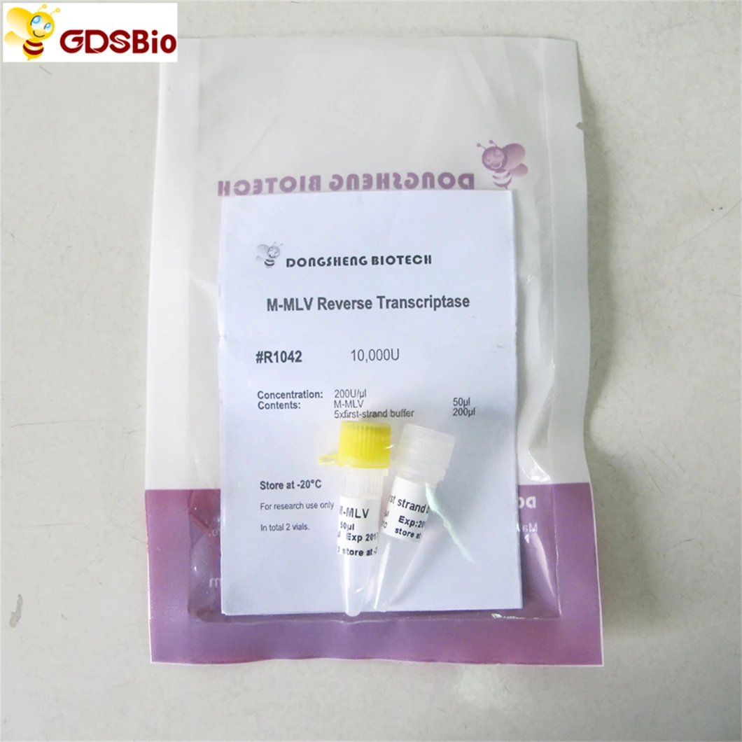 M-Mlv Reverse Transcriptase Rt-PCR
