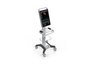 China Ultrasound Scan Machine Portable Ultrasound Scanner with Scanning Depth 320mm on sale