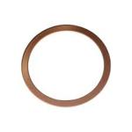 Basic Type Metal Gaskets Wth Loose Outer Ring With Integral Pipe Fittings