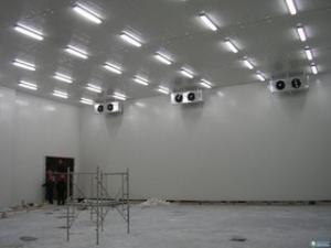 Bespoke Cold Rooms 100mm Panel Vegetable Cold Storage Room