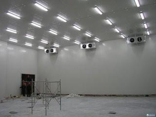 Quality Bespoke Cold Rooms 100mm Panel Vegetable Cold Storage Room for sale