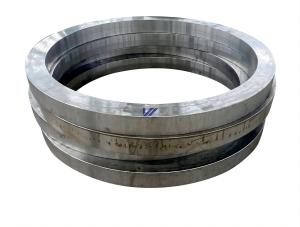 Ring Forgings Steel Pipe Die Ring Forging Different Grades