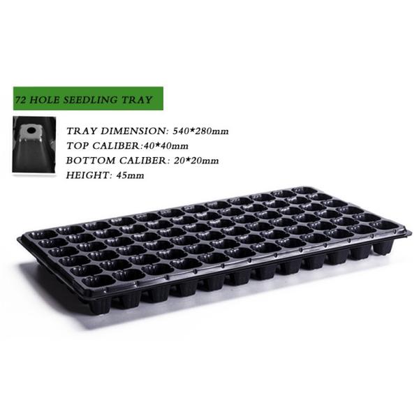 105 Holes Rectangular Polystyrene Seed Raising Tray Deep Cell Plug Trays 540X280mm