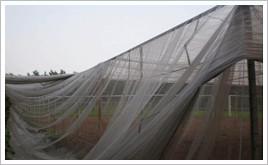 Buy cheap 1.3 * 1.3mm Polyester Mesh Screen , Plain Weaving 2 - 3% UV Screen Fabric Mesh product