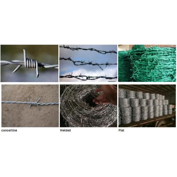 Barbed Wire