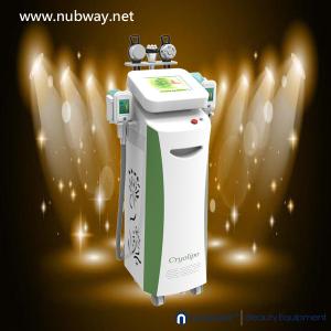 China Newest fast amazing result cryolipolysis lose weight to lose weight on sale