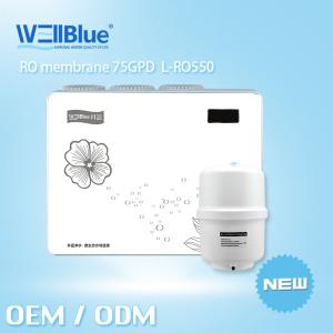 China Alkaline Reverse Osmosis Water Purifier RO Water Filter Machine 75GPD Output on sale