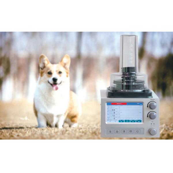 DH6B Veterinary Anesthesia Ventilator With 3 Ventilation Modes IPPV A/C SIMV