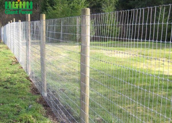 Quality 1.5m Hot Dipped Galvanized High Tensile Wire Farm fence for sale