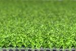 Golf Turf Carpet Artificial Grass 13mm For Multi Use Artificial Grass Golf Grass