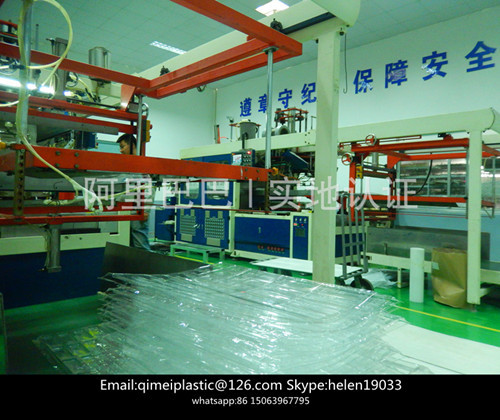 Blister Process Type Clear Tablet Packing Tray Plastic Material