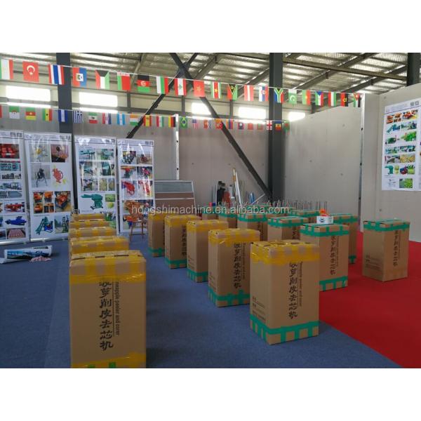 Stainless steel Manual pineapple cutting machine