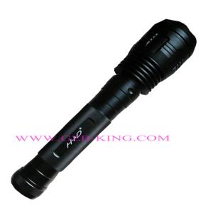 HID Torch Light  