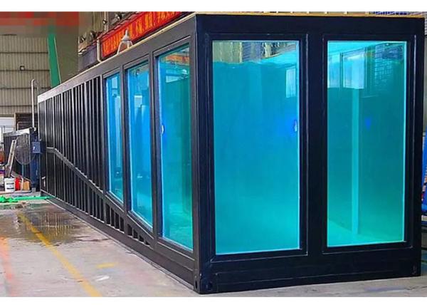 Quality Customized New Style 20ft 40ft Shipping Container Swimming Pool for Sale for sale